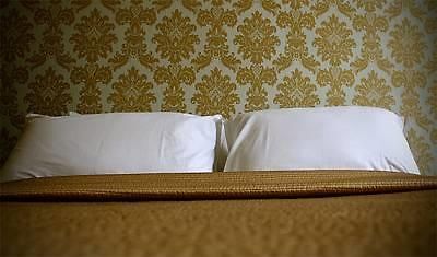 Finnegans Hostel And B&B Accommodation Tralee Buitenkant foto
